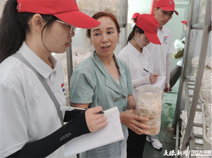 1657601025147218.png 15.png